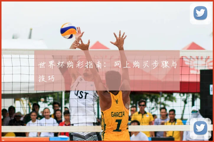世界杯购彩指南:网上购买步骤与技巧