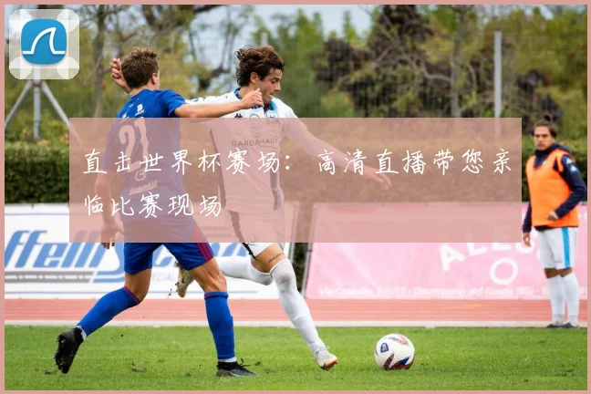 直击世界杯赛场：高清直播带您亲临比赛现场