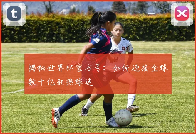 揭秘世界杯官方号:如何连接全球数十亿狂热球迷