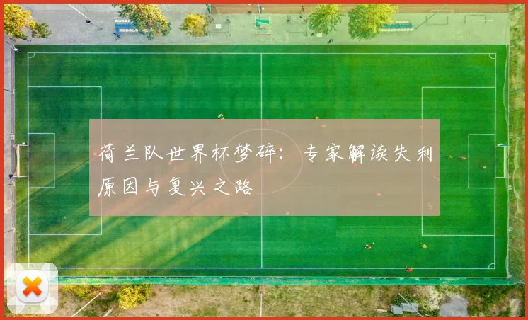 荷兰队世界杯梦碎:专家解读失利原因与复兴之路