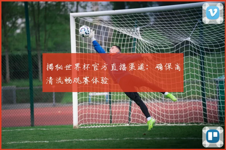 揭秘世界杯官方直播渠道:确保高清流畅观赛体验