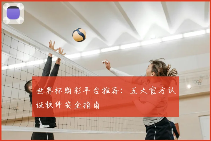 世界杯购彩平台推荐:五大官方认证软件安全指南