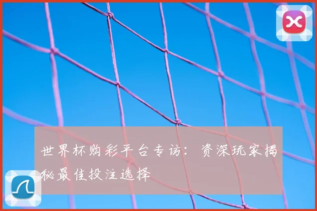 世界杯购彩平台专访:资深玩家揭秘最佳投注选择